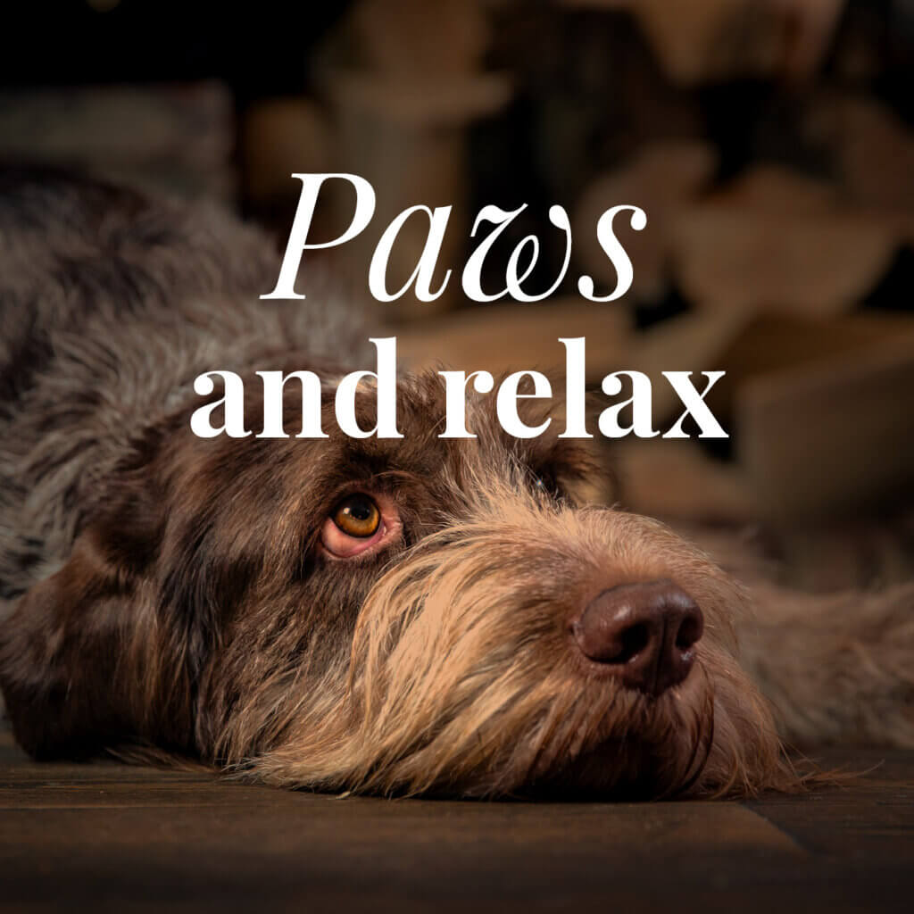 Paws & Relax