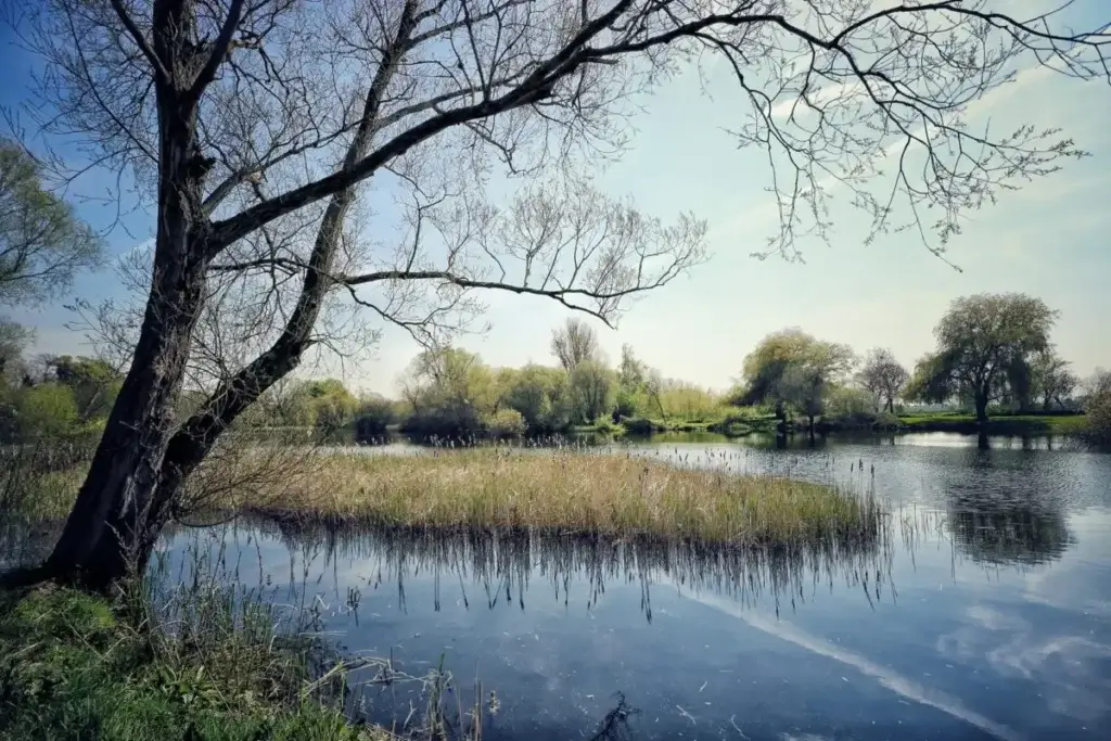 37 Acres Of Natural Beauty