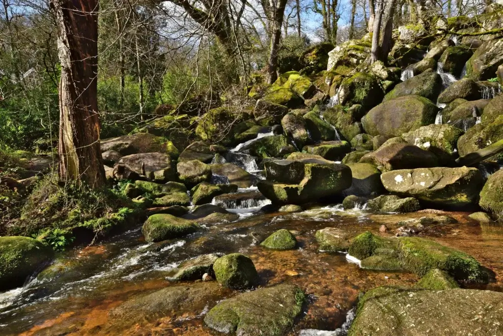 A Magnificent Waterfall