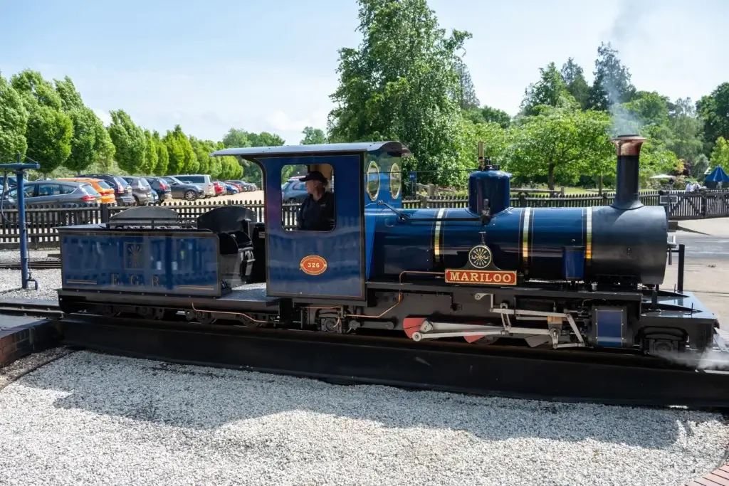 A Spectacular Woodland Garden