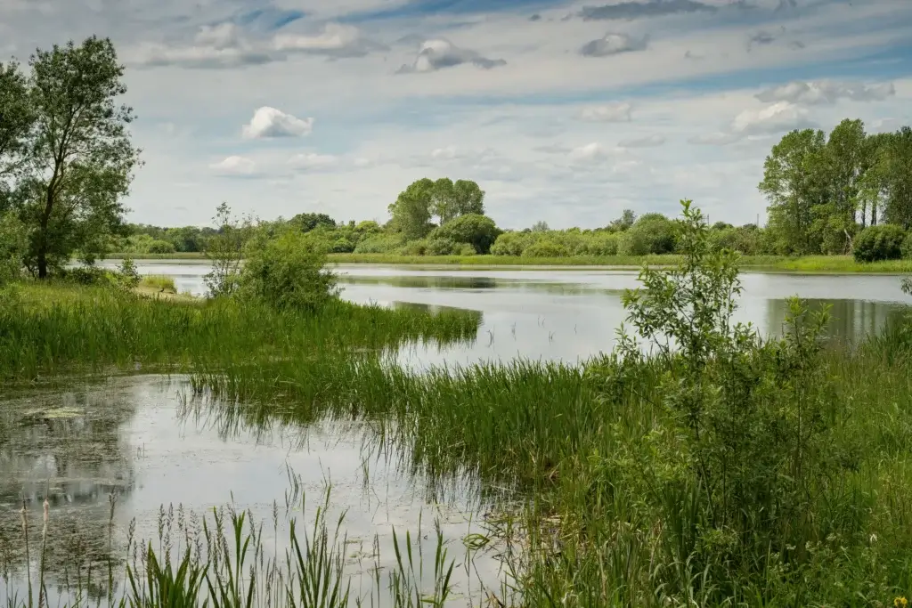A historic Bridge & Chapel