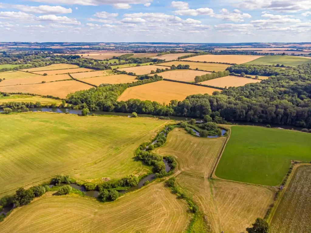 Walk Alongside The River Thames