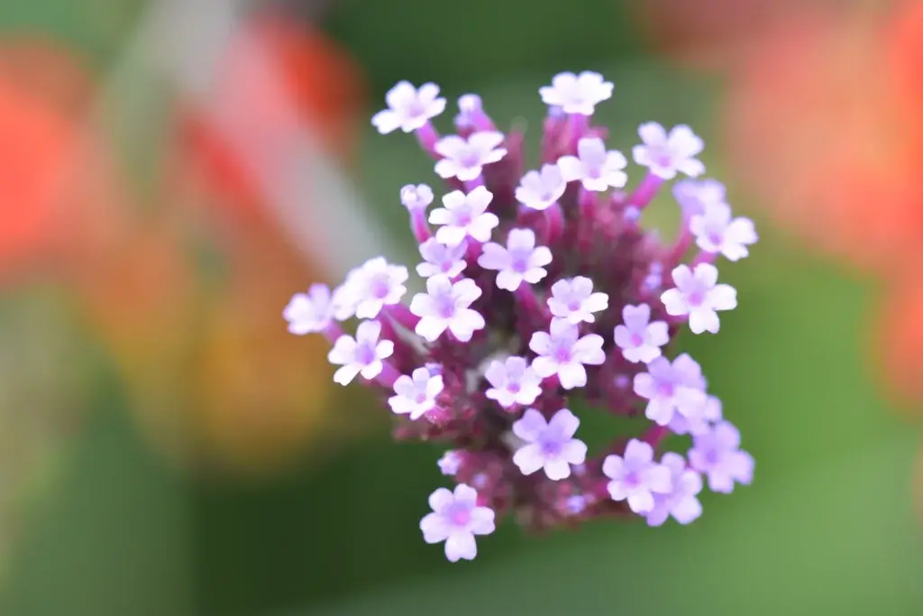 1,000 Acres Of Stunning Woodland