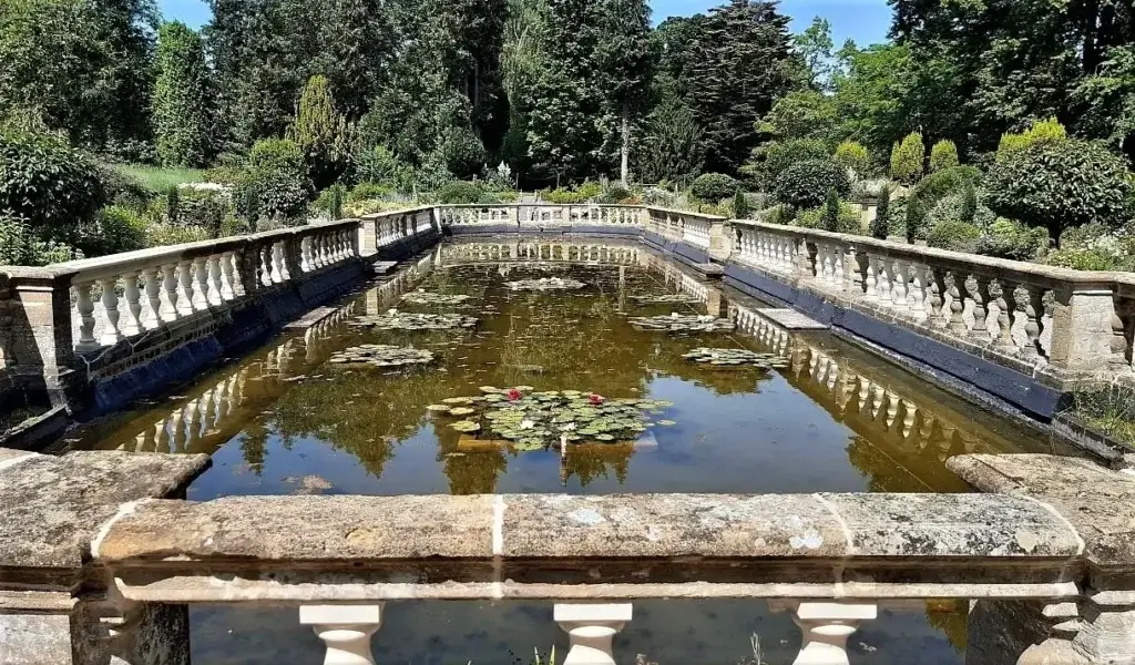 A Not So Secret Garden