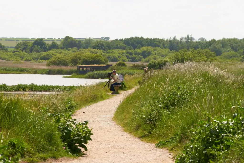 A Paradise For Birdwatchers