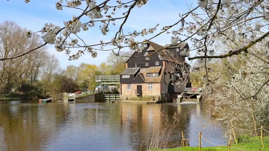 Experience a working watermill