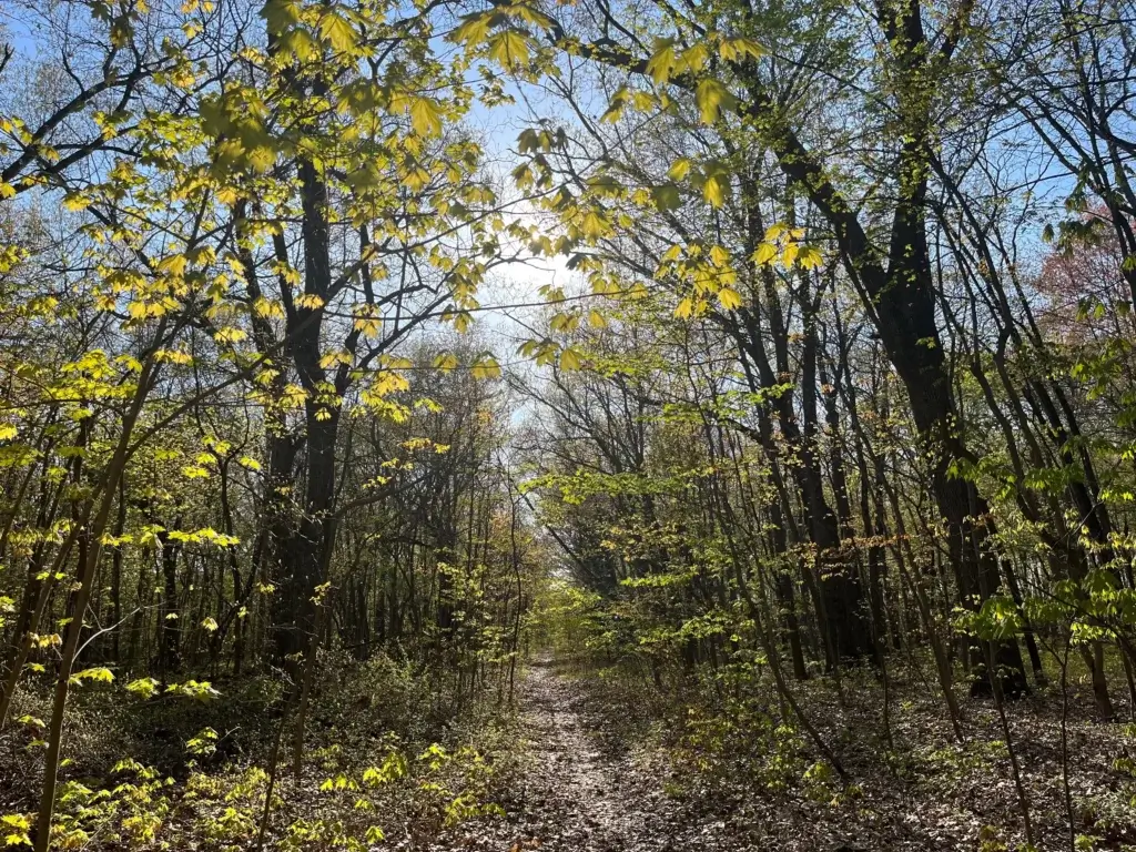 A Heroic Local Resident