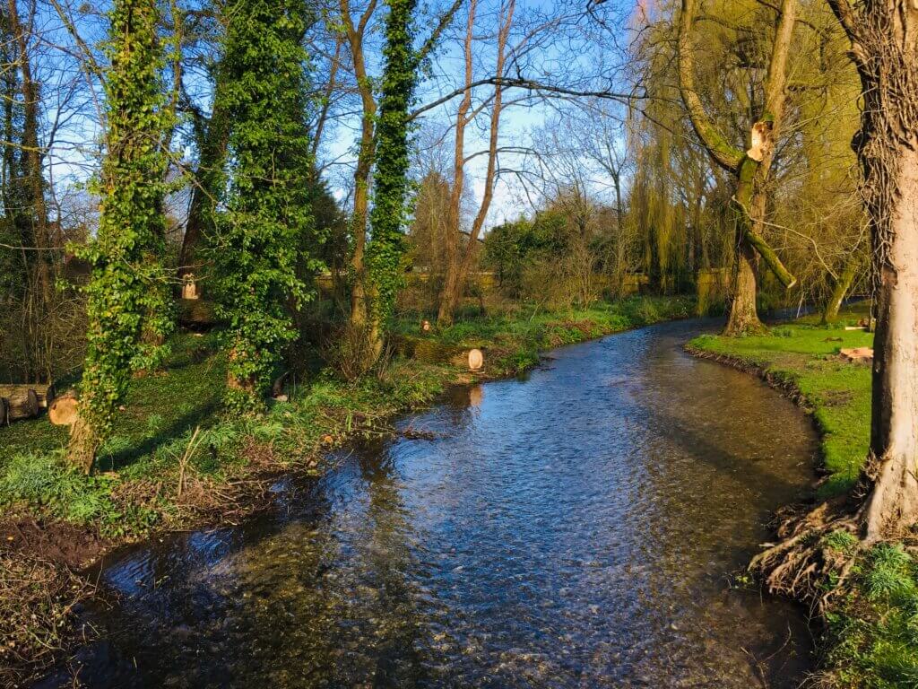 Danbury Country Park